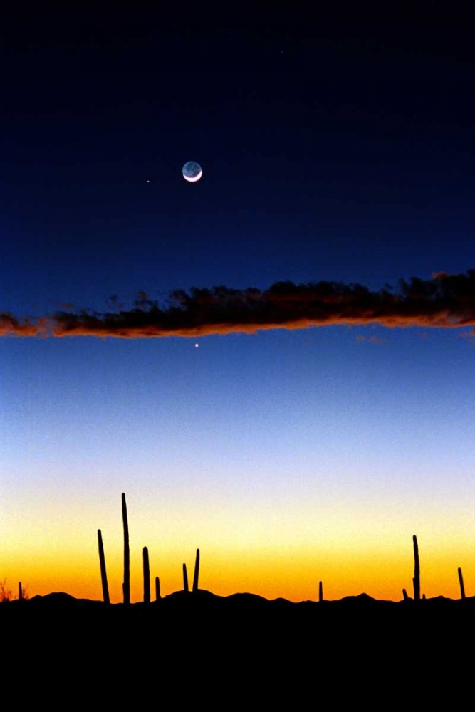 Moonrise art print by Douglas Taylor for $57.95 CAD