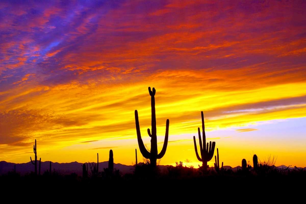 Equinox Sunset art print by Douglas Taylor for $57.95 CAD