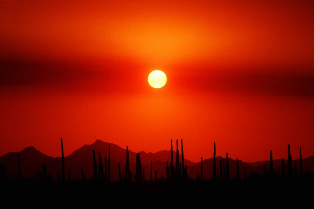 Smokey Sunset art print by Douglas Taylor for $57.95 CAD
