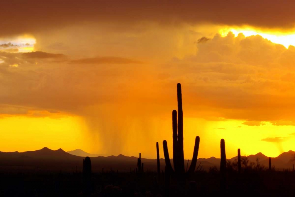 Sunset Rain art print by Douglas Taylor for $57.95 CAD