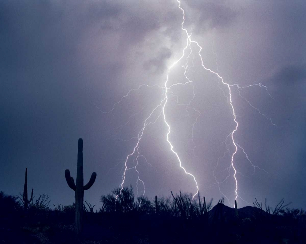 Electric Desert I art print by Douglas Taylor for $57.95 CAD