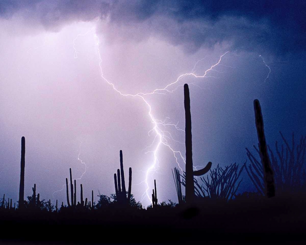 Electric Desert II art print by Douglas Taylor for $57.95 CAD