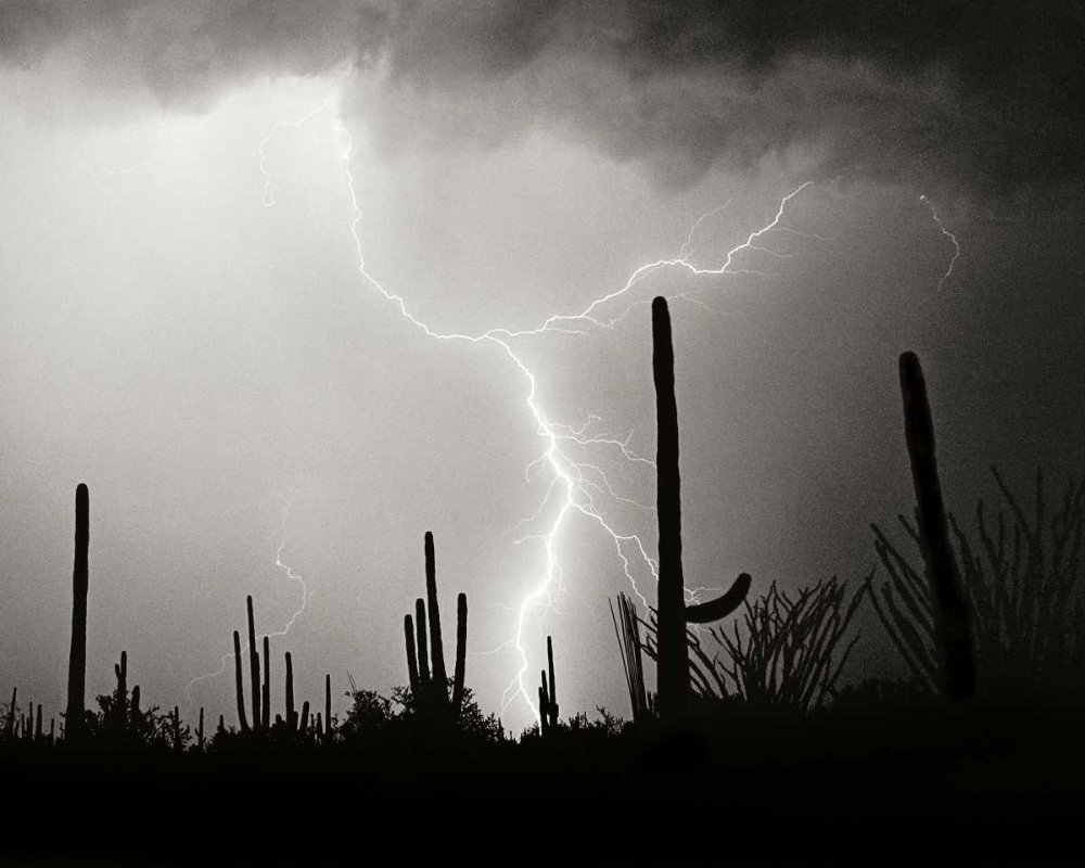 Electric Desert II - BW art print by Douglas Taylor for $57.95 CAD