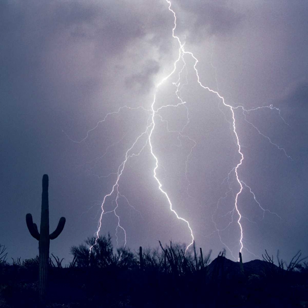 Electric Desert III art print by Douglas Taylor for $57.95 CAD