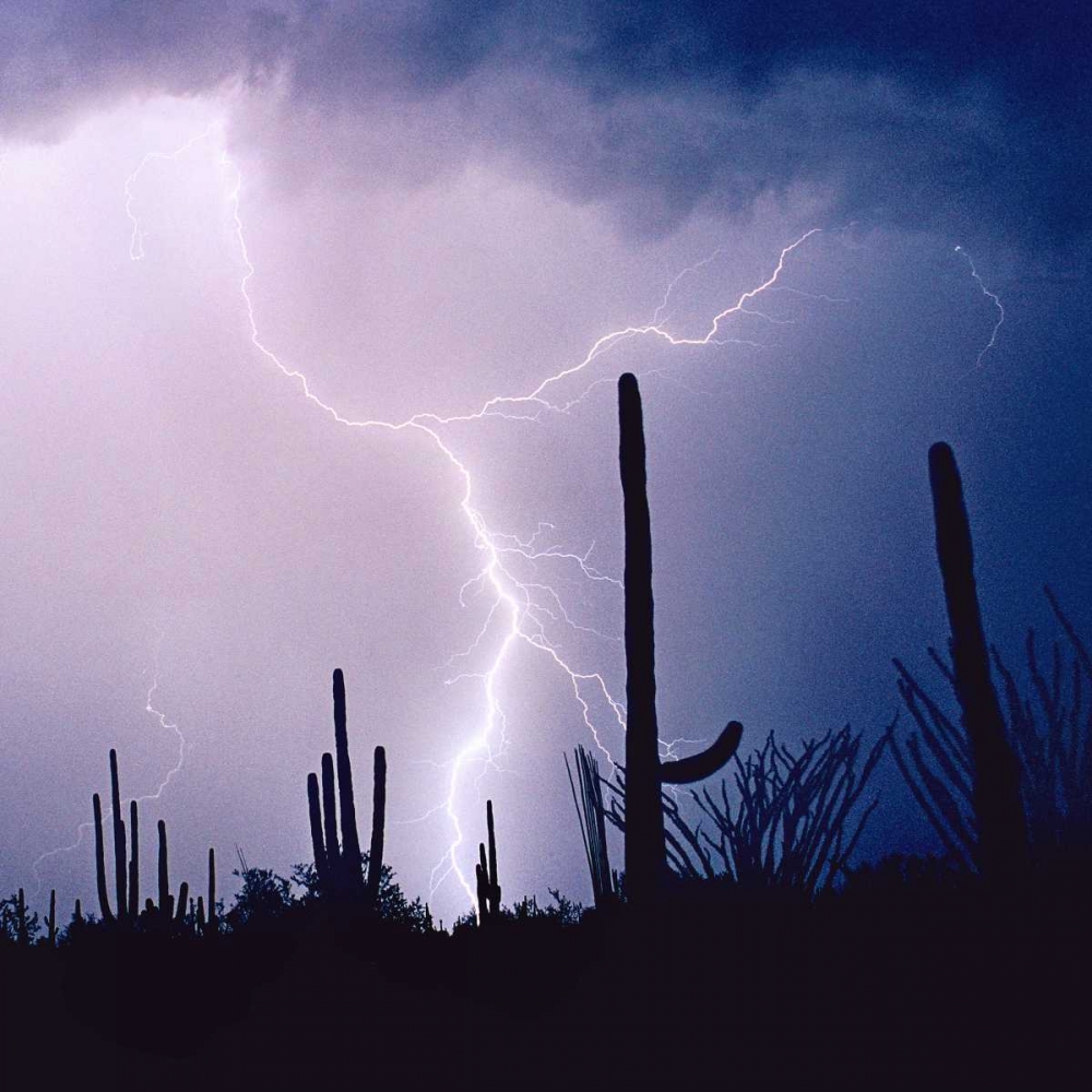 Electric Desert IV art print by Douglas Taylor for $57.95 CAD