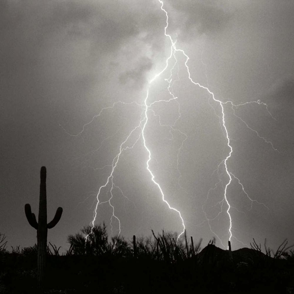 Electric Desert III - BW art print by Douglas Taylor for $57.95 CAD