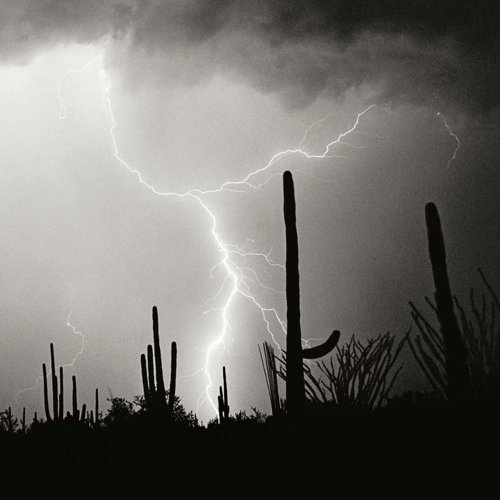 Electric Desert IV - BW art print by Douglas Taylor for $57.95 CAD