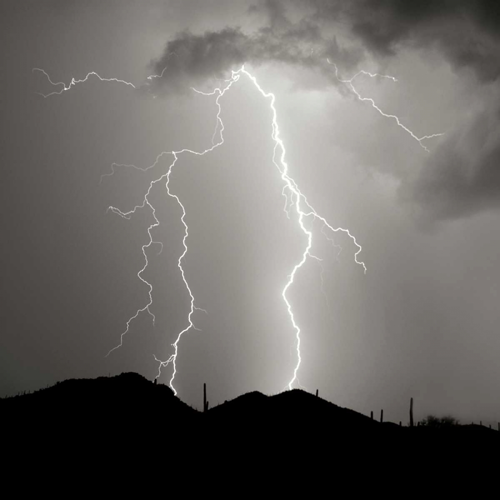 Summer Lightning I - BW art print by Douglas Taylor for $57.95 CAD