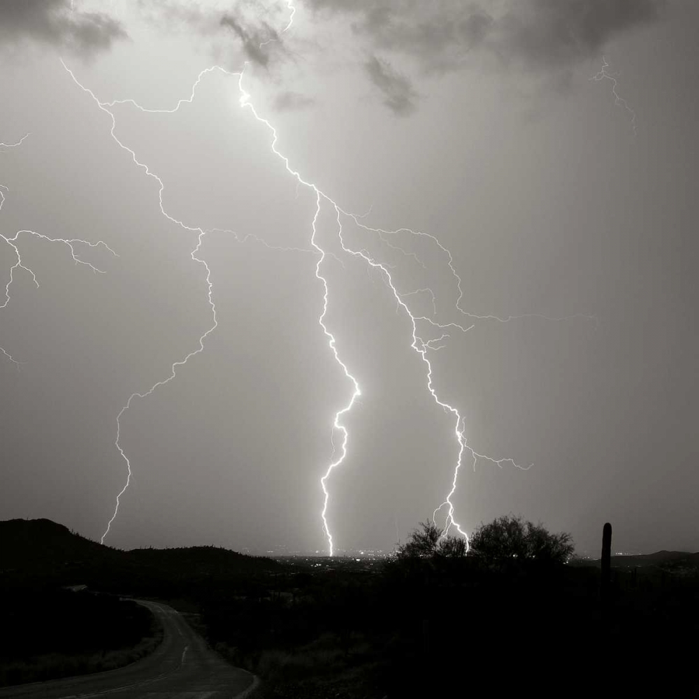Summer Lightning II - BW art print by Douglas Taylor for $57.95 CAD