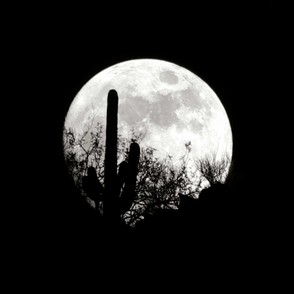 Moonrise in May I art print by Douglas Taylor for $57.95 CAD