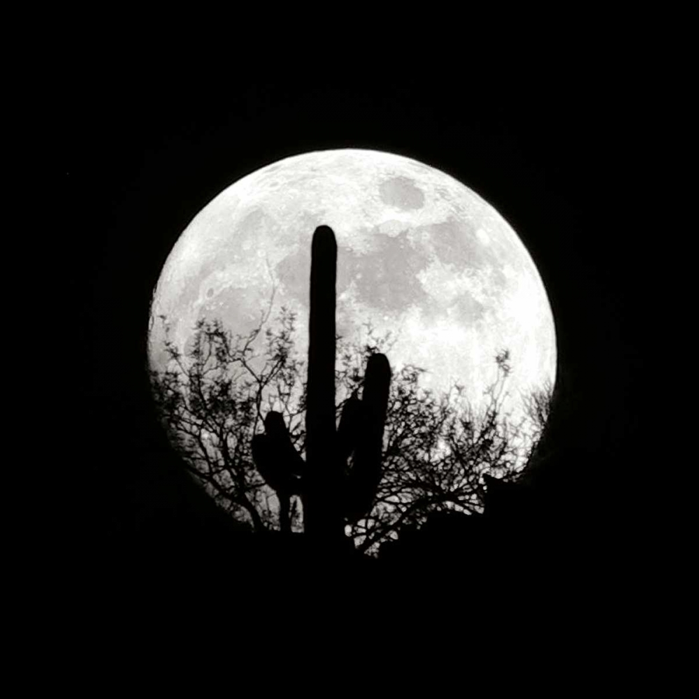 Moonrise in May II art print by Douglas Taylor for $57.95 CAD