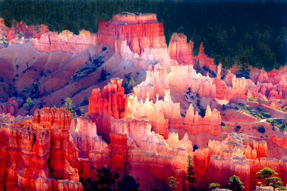 Bryce Canyon Sunrise I art print by Douglas Taylor for $57.95 CAD