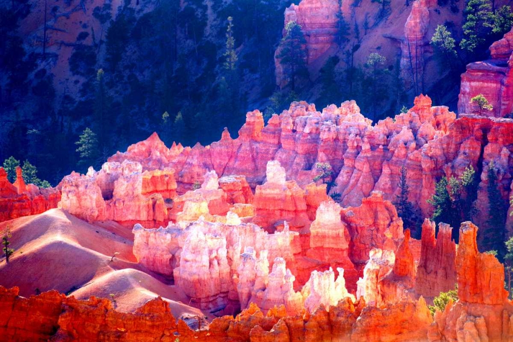 Bryce Canyon Sunrise II art print by Douglas Taylor for $57.95 CAD