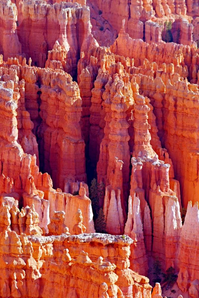 Hoodoos at Dawn art print by Douglas Taylor for $57.95 CAD