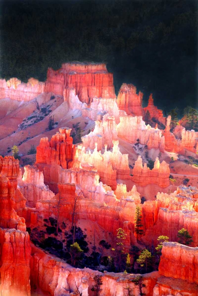 Reflected Glory art print by Douglas Taylor for $57.95 CAD