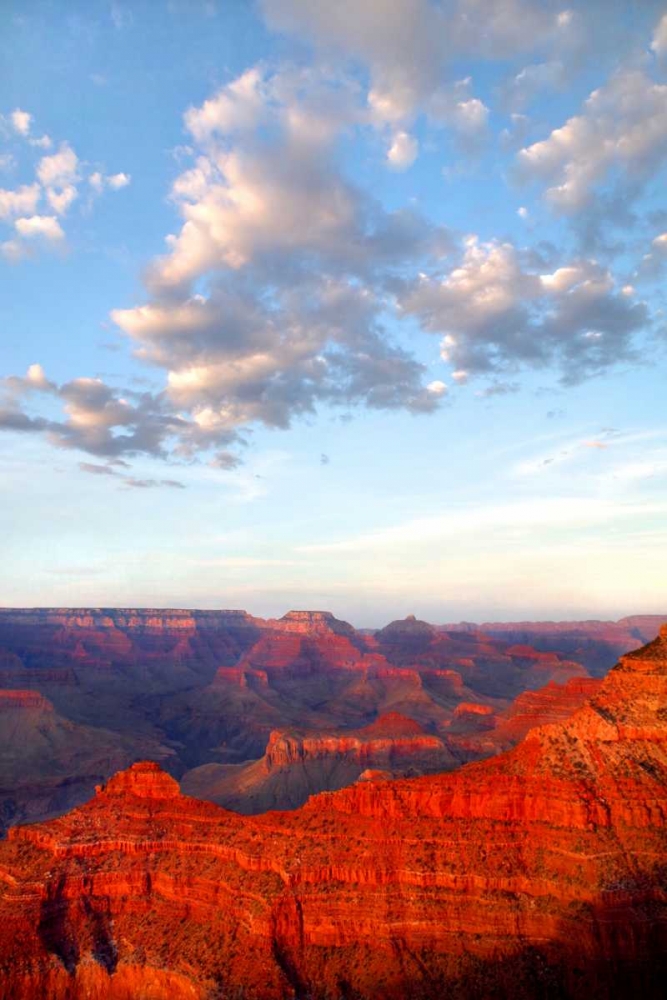 Grand Canyon I art print by Douglas Taylor for $57.95 CAD