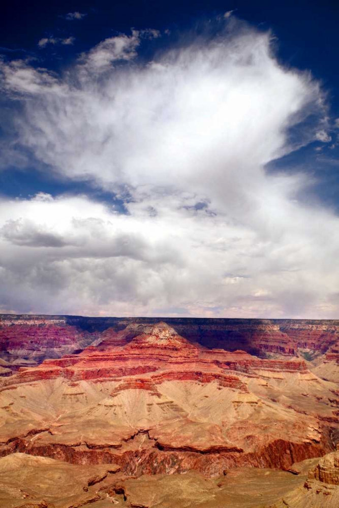 Grand Canyon II art print by Douglas Taylor for $57.95 CAD