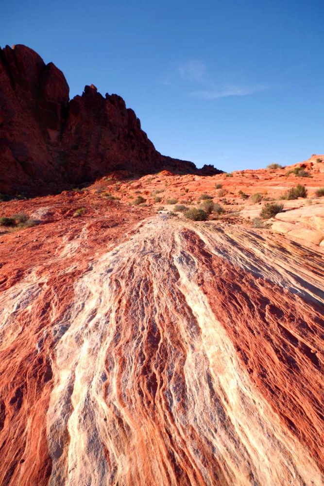 Fiery Sandstone art print by Douglas Taylor for $57.95 CAD