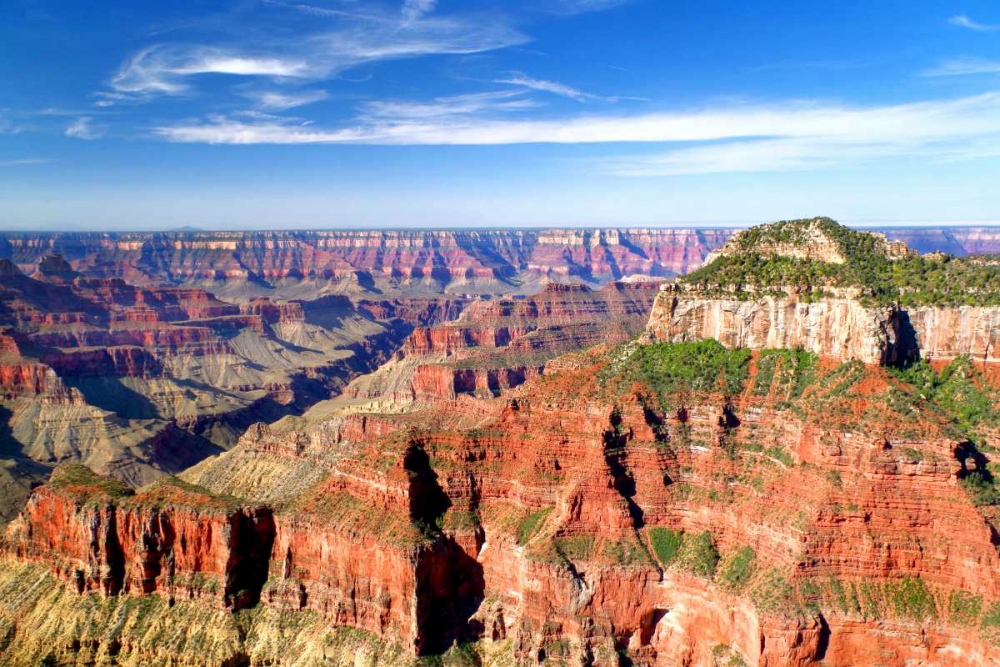 Grand Canyon Dawn II art print by Douglas Taylor for $57.95 CAD
