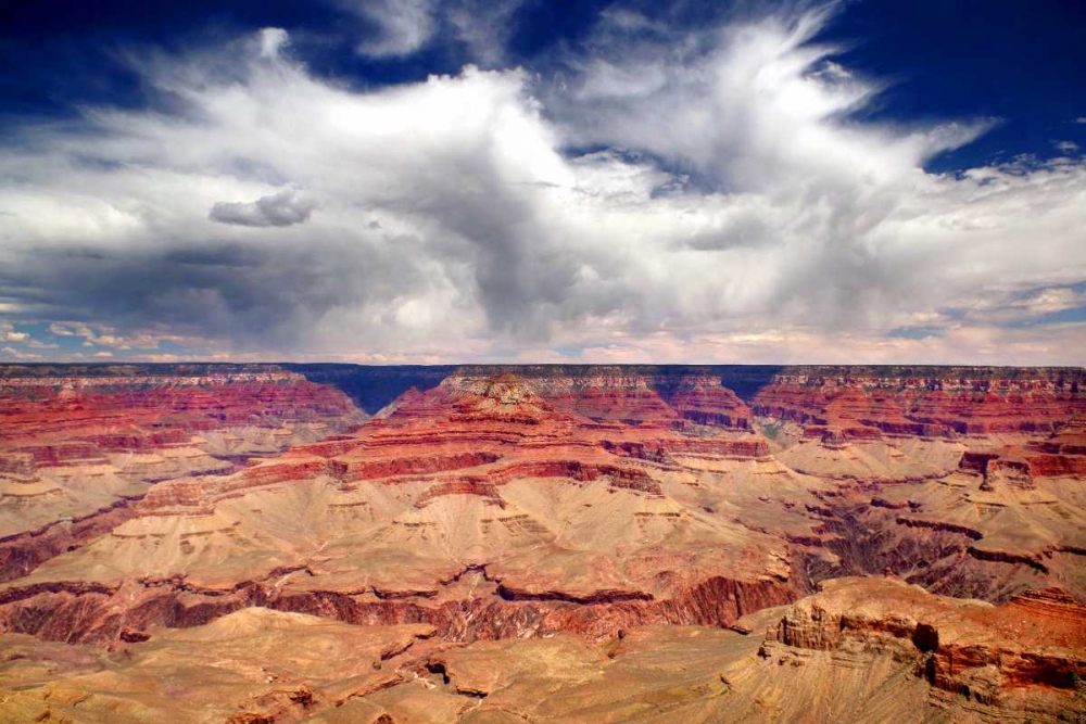Grand Canyon Winds art print by Douglas Taylor for $57.95 CAD