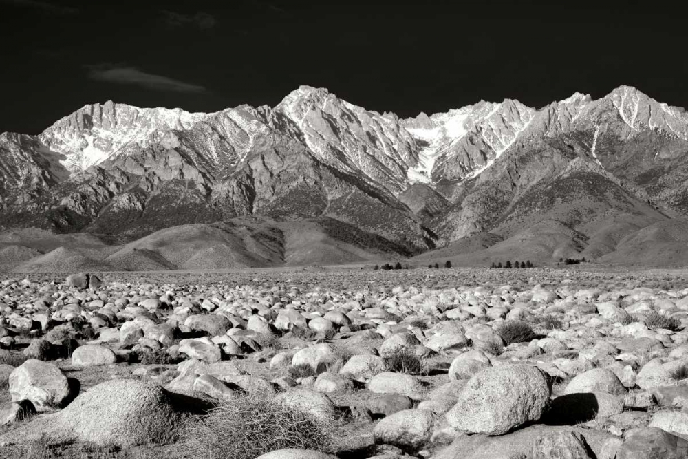 Sierra Nevada Mountains II BW art print by Douglas Taylor for $57.95 CAD