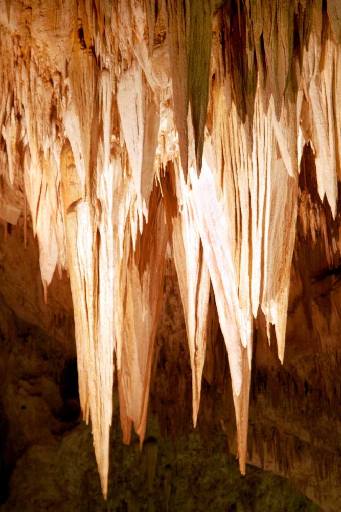 Carlsbad Cavern II art print by Douglas Taylor for $57.95 CAD