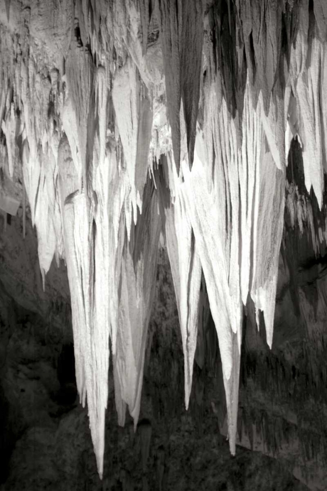 Carlsbad Cavern II BW art print by Douglas Taylor for $57.95 CAD