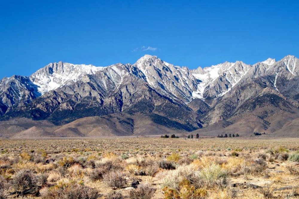 Sierra Nevada Mountains I art print by Douglas Taylor for $57.95 CAD