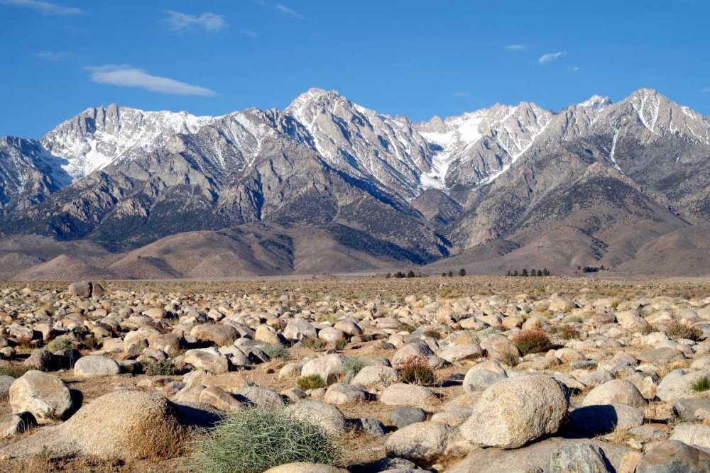Sierra Nevada Mountains II art print by Douglas Taylor for $57.95 CAD