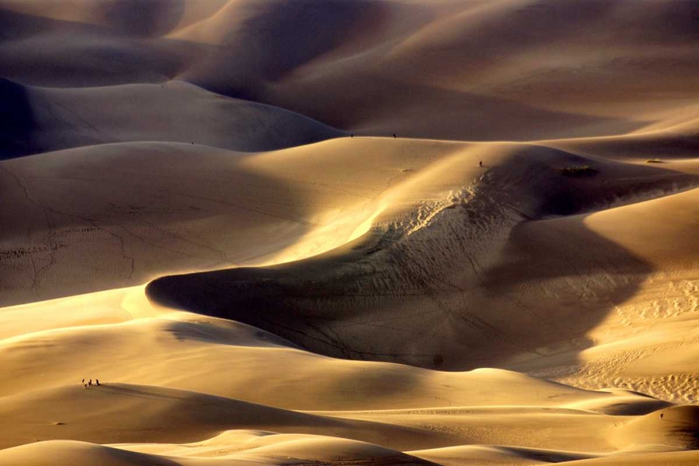 Great Sand Dunes I art print by Douglas Taylor for $57.95 CAD