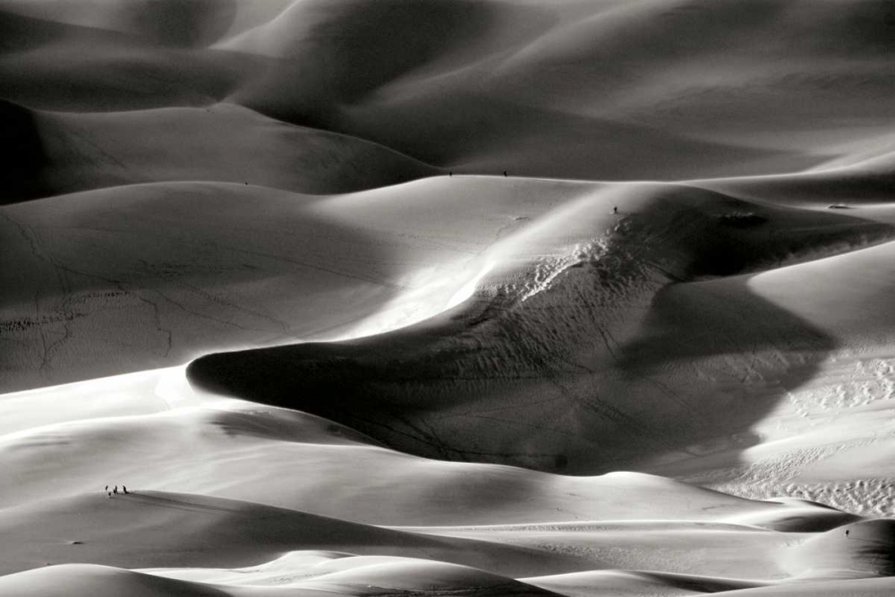 Great Sand Dunes I BW art print by Douglas Taylor for $57.95 CAD