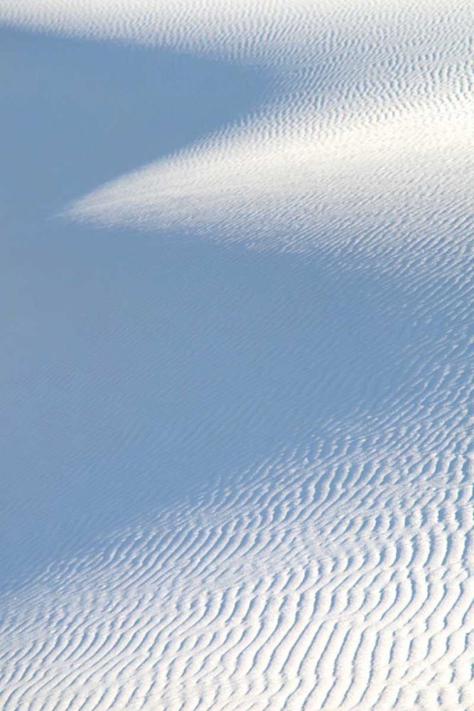 White Sands II art print by Douglas Taylor for $57.95 CAD