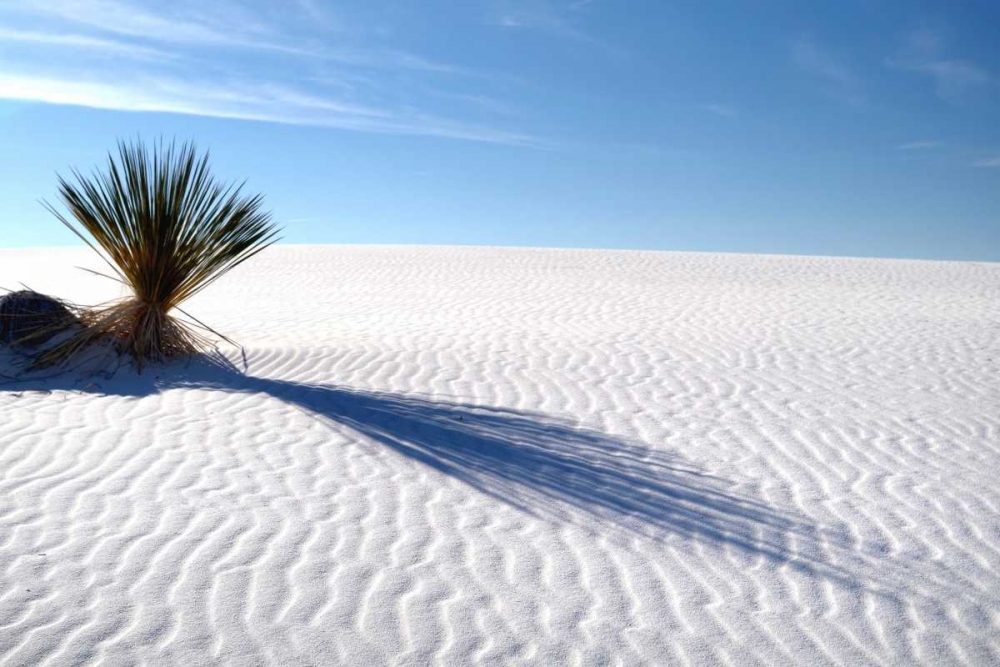 Sand Shadows I art print by Douglas Taylor for $57.95 CAD