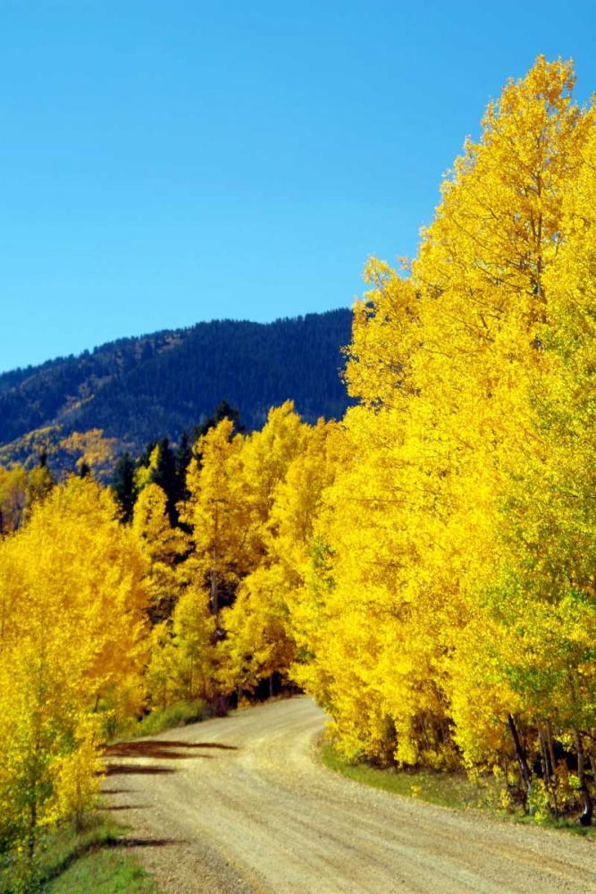 Colorado Color I art print by Douglas Taylor for $57.95 CAD