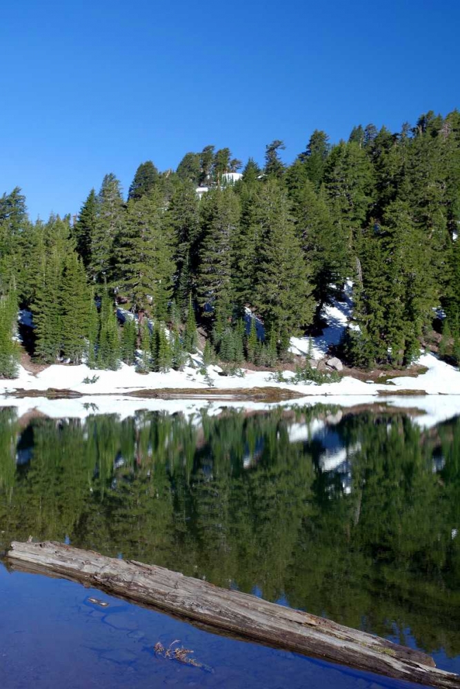 Emerald Lake art print by Douglas Taylor for $57.95 CAD