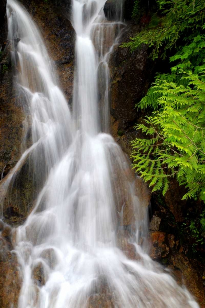 Falling Water I art print by Douglas Taylor for $57.95 CAD