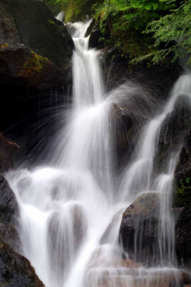 Falling Water II art print by Douglas Taylor for $57.95 CAD