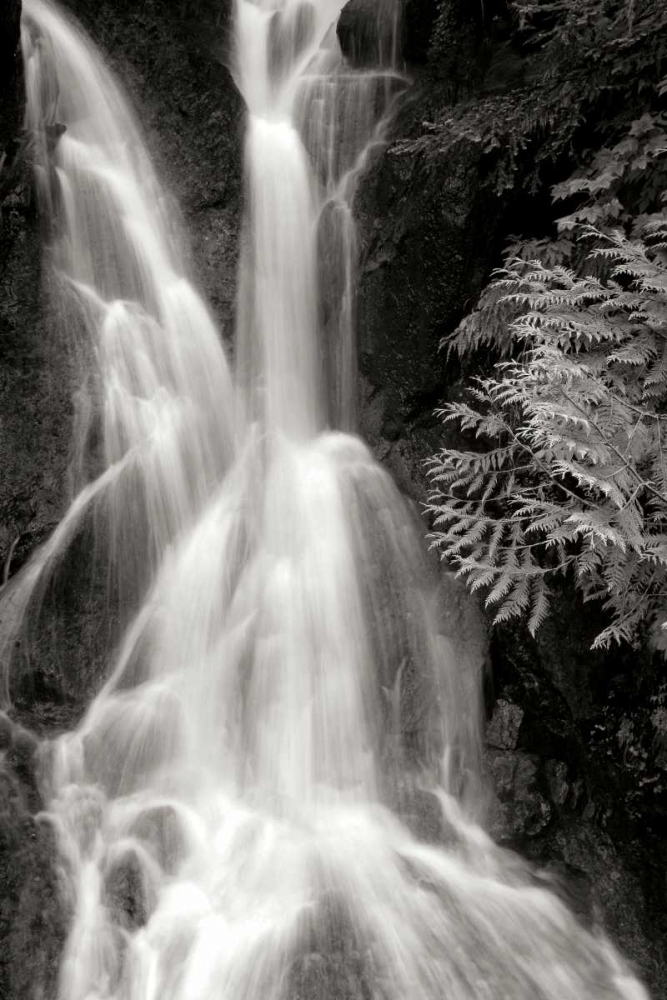 Falling Water I BW art print by Douglas Taylor for $57.95 CAD