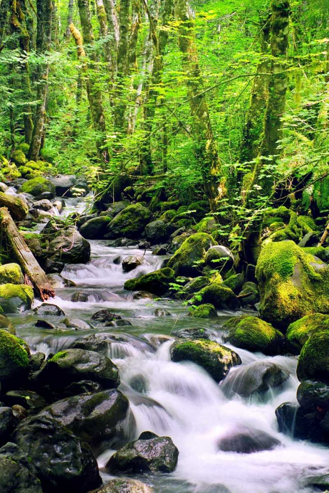 Snowmelt art print by Douglas Taylor for $57.95 CAD