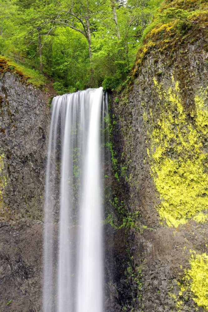Latourell Falls art print by Douglas Taylor for $57.95 CAD