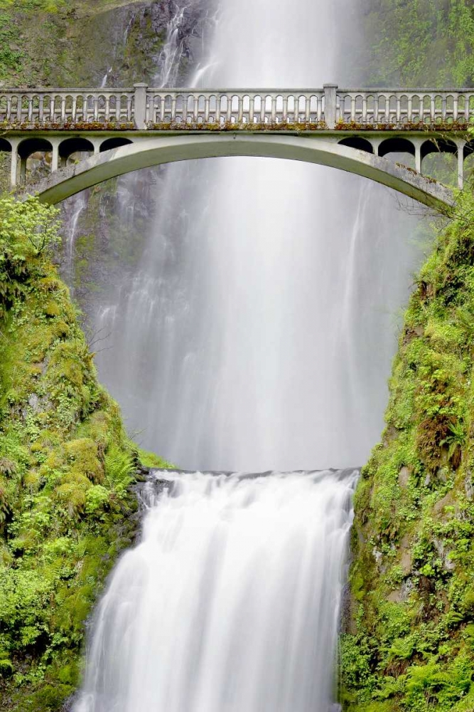 Water Under the Bridge art print by Douglas Taylor for $57.95 CAD