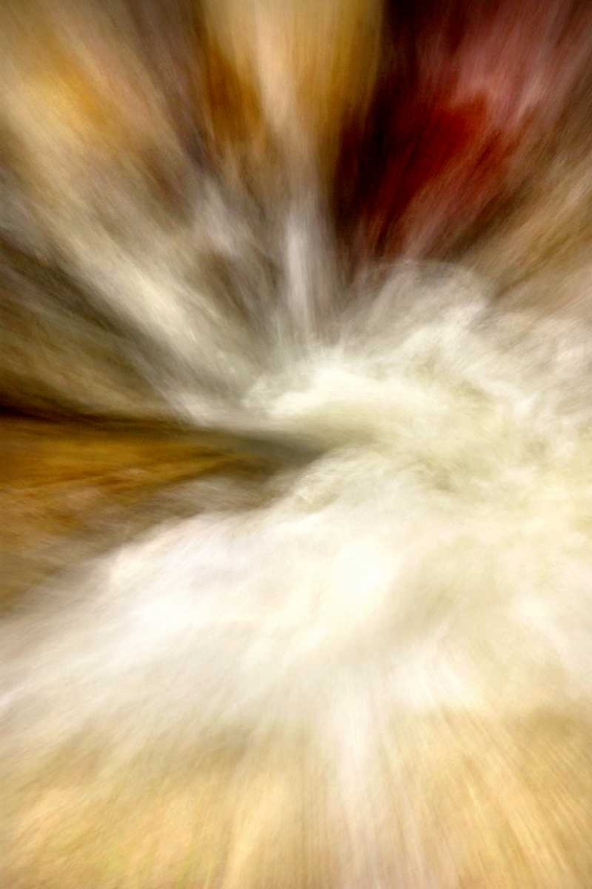 After the Rain I art print by Douglas Taylor for $57.95 CAD