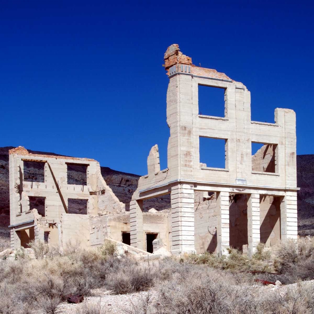 Rhyolite Ruin I art print by Douglas Taylor for $57.95 CAD