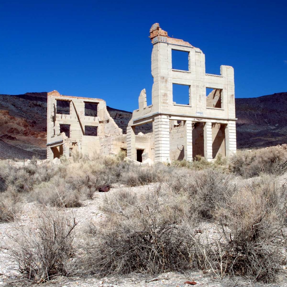Rhyolite Ruin II art print by Douglas Taylor for $57.95 CAD