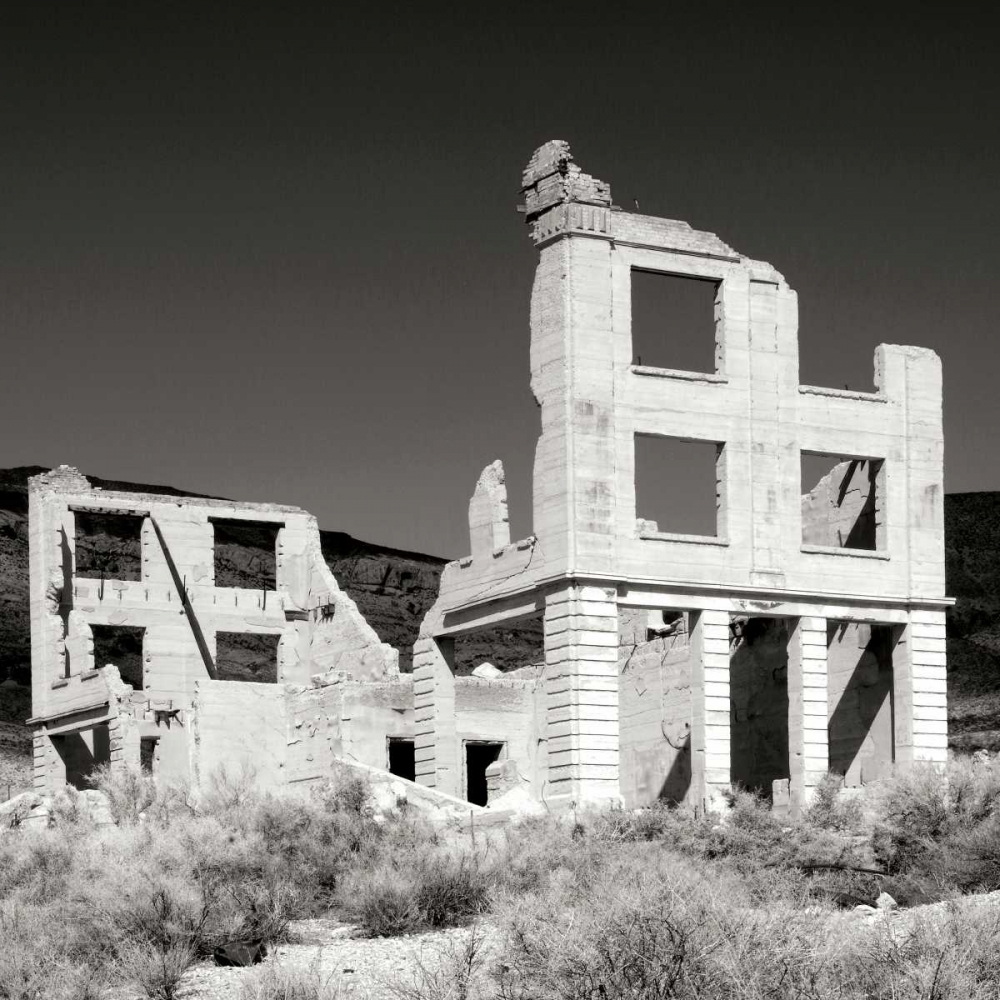Rhyolite Ruin I BW art print by Douglas Taylor for $57.95 CAD