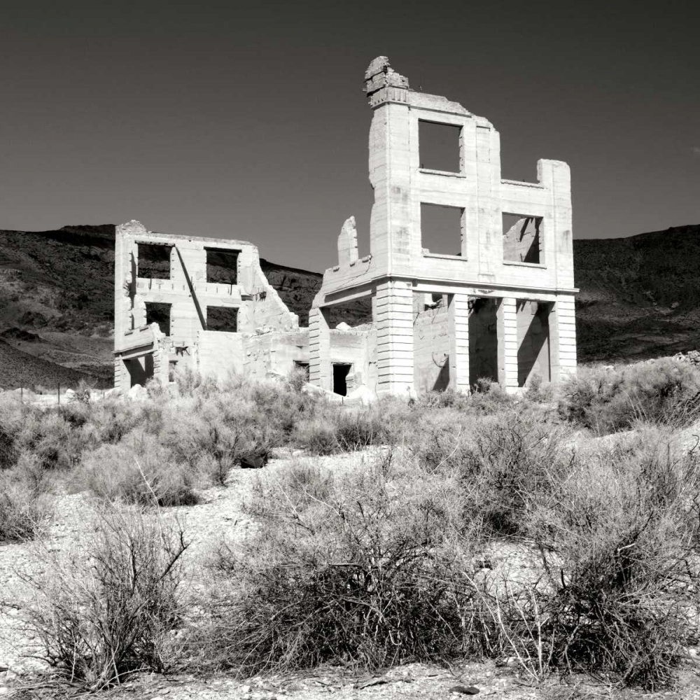 Rhyolite Ruin II BW art print by Douglas Taylor for $57.95 CAD