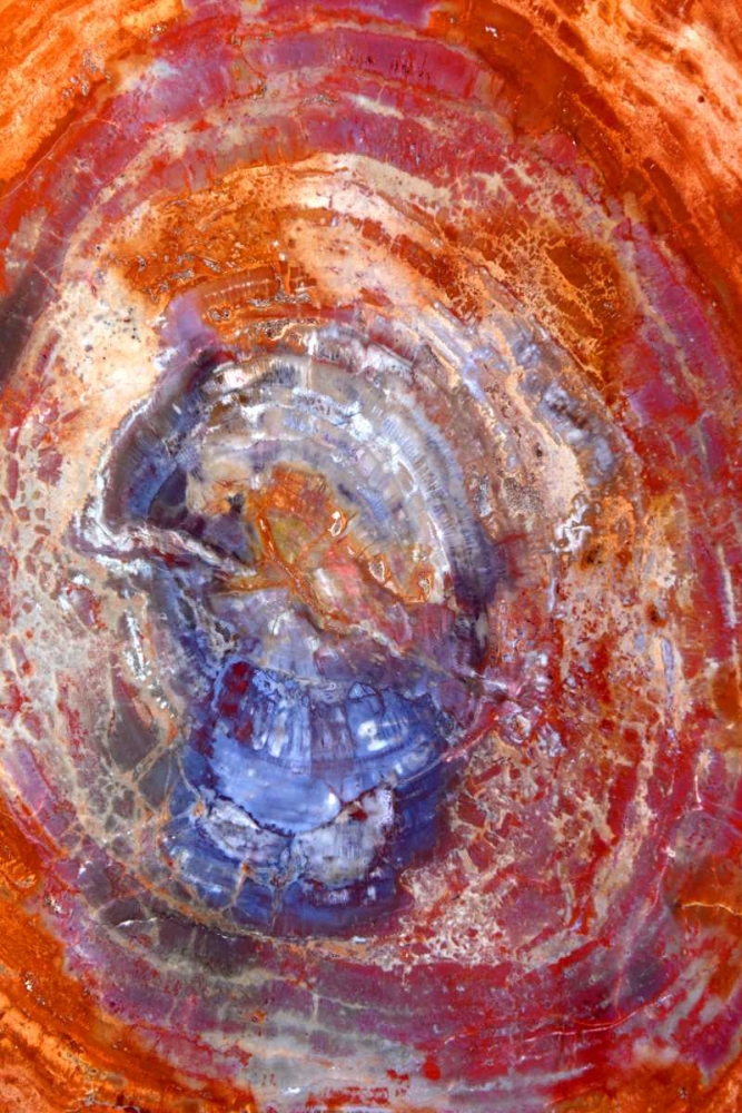 Slice of Color art print by Douglas Taylor for $57.95 CAD