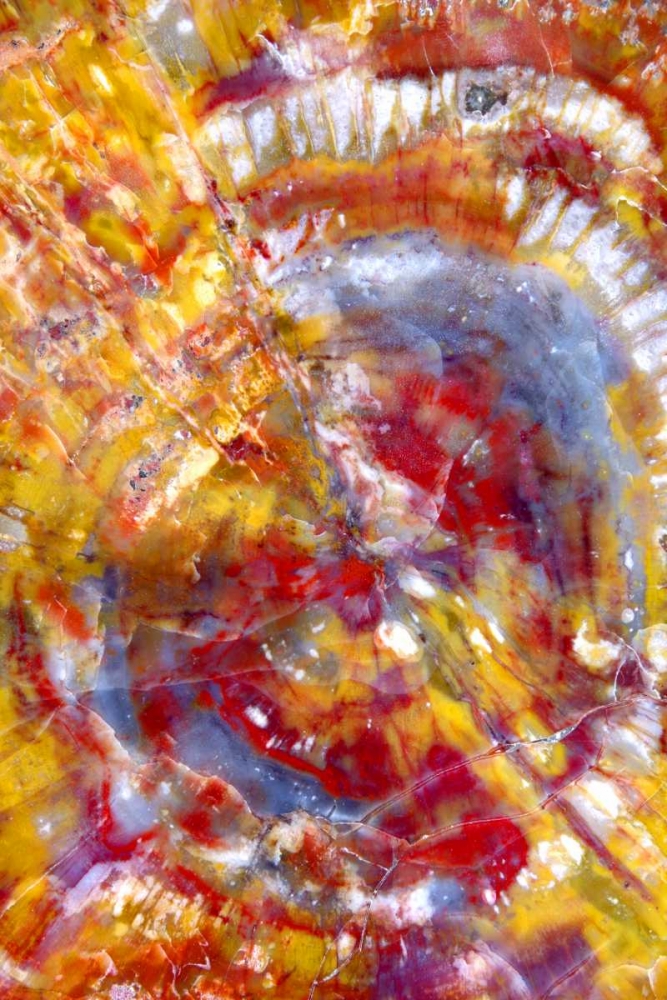 Spiral Galaxy art print by Douglas Taylor for $57.95 CAD