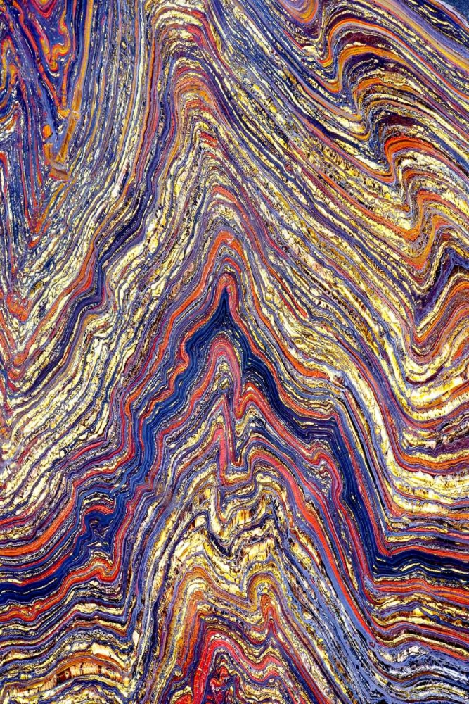 Tiger Iron I art print by Douglas Taylor for $57.95 CAD