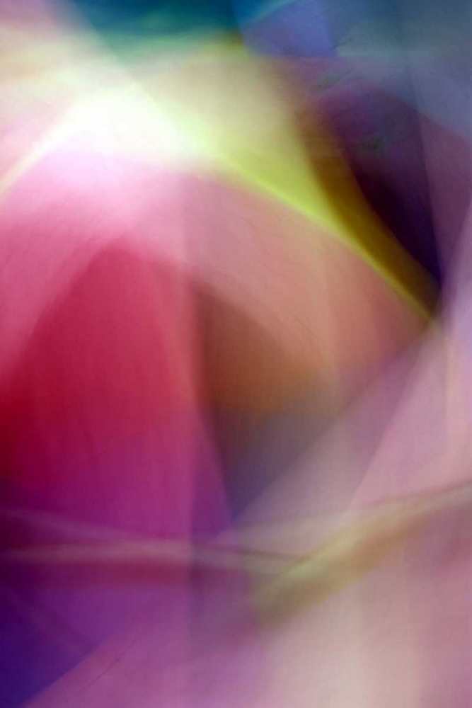 Chaos of Color art print by Douglas Taylor for $57.95 CAD